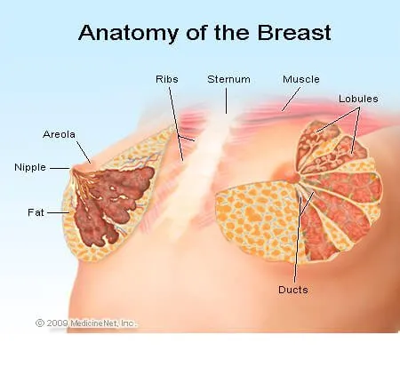breast cysts hereditary