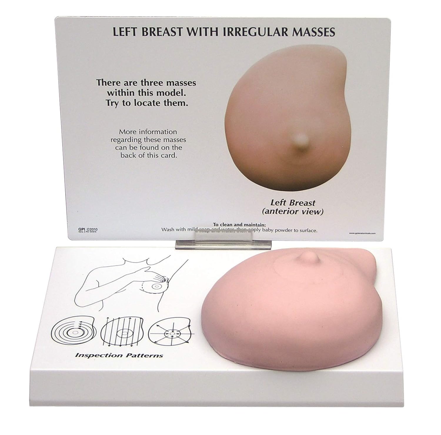 exam anatomical breast models