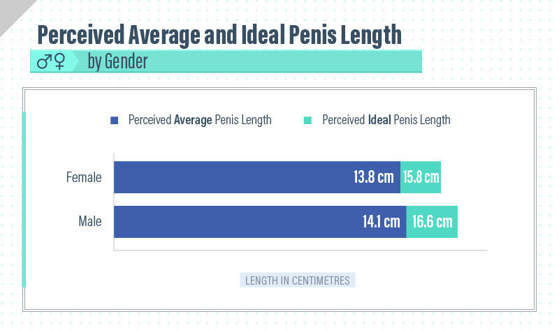 penis is what size good a