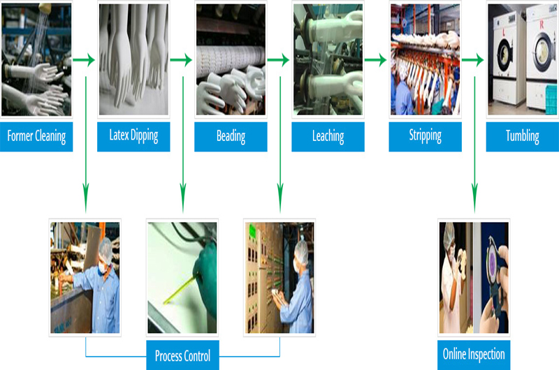 process gloves manufacturing latex