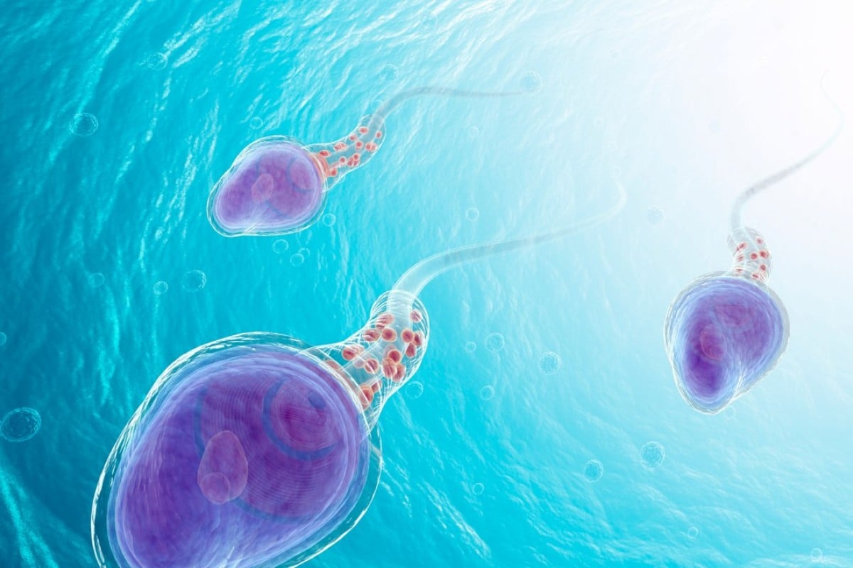 help produce more sperm