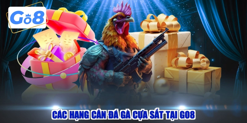 Các hạng cân đá gà cựa sắt tại GO8