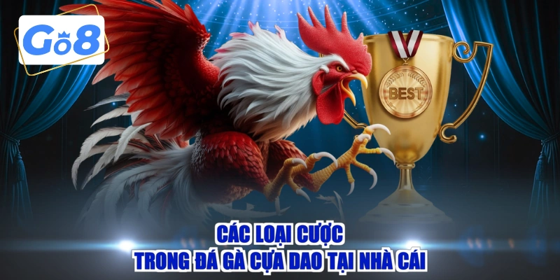 Các loại cược trong đá gà cựa dao tại nhà cái